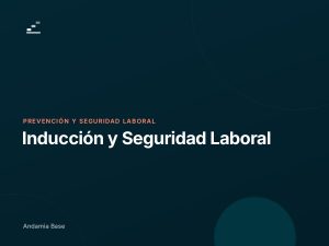 Inducción y Seguridad Laboral